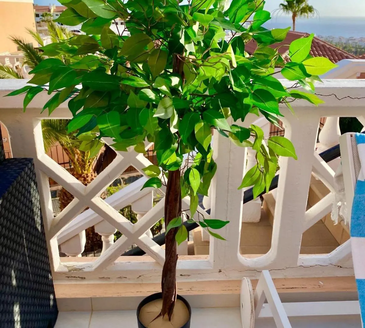 Passione Beautiful Apartment With Sea View Costa Adeje